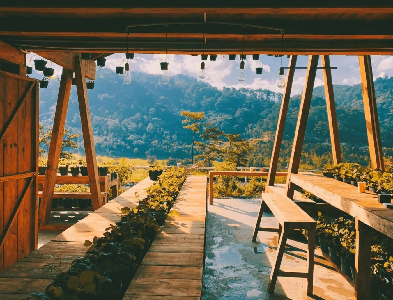 Cafe - du lịch Đà Lạt