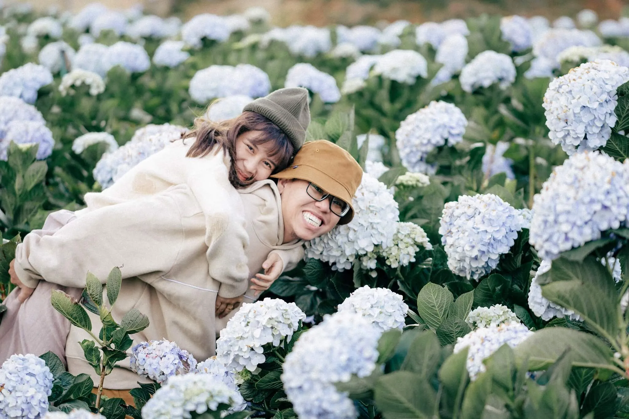 Cách tạo dáng và chọn góc chụp ấn tượng với cánh đồng hoa cẩm tú cầu