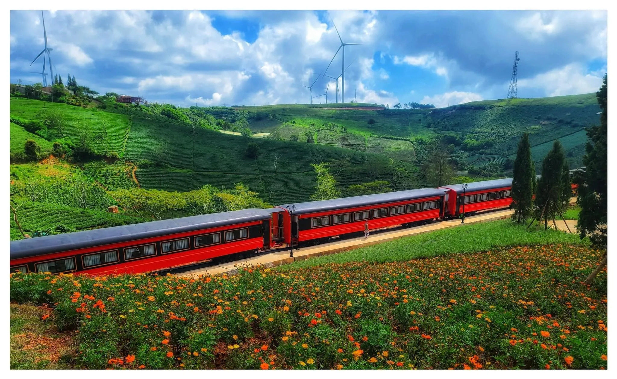 Đồi chè Cầu Đất - Đà Lạt chơi ở đâu