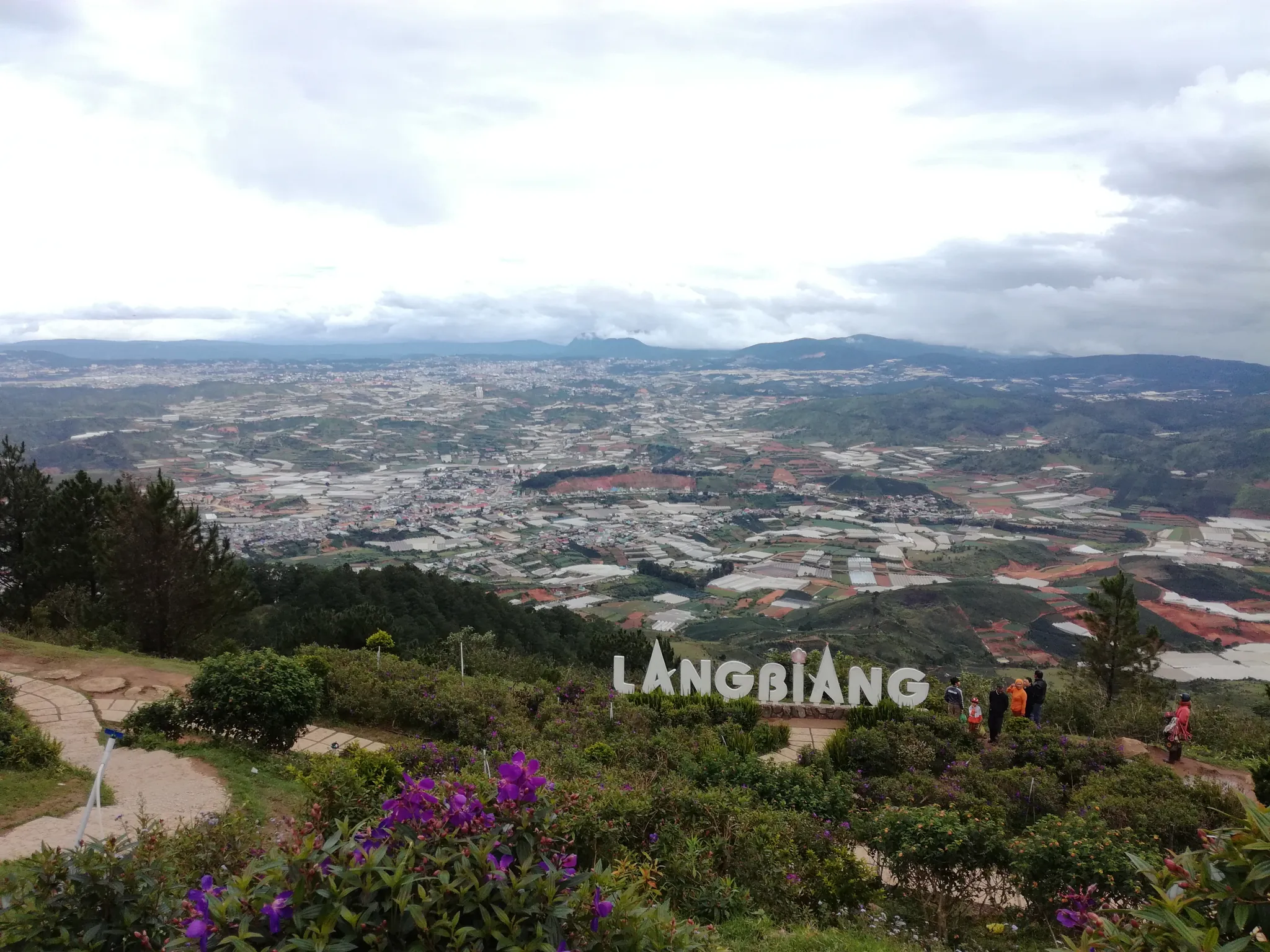 Chữ LANGBIANG giữa hoa dại trên sườn núi, phía xa là thành phố Đà Lạt và các dãy nhà kính