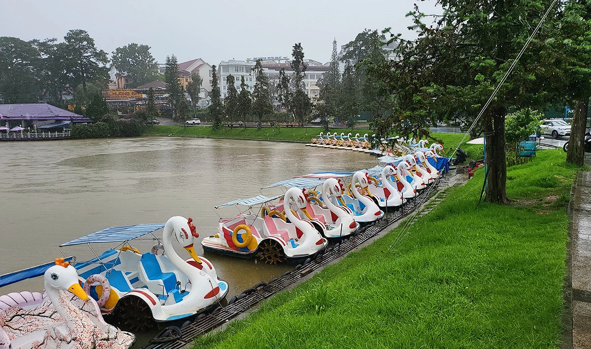 Đạp vịt ở Hồ Xuân Hương Đà Lạt