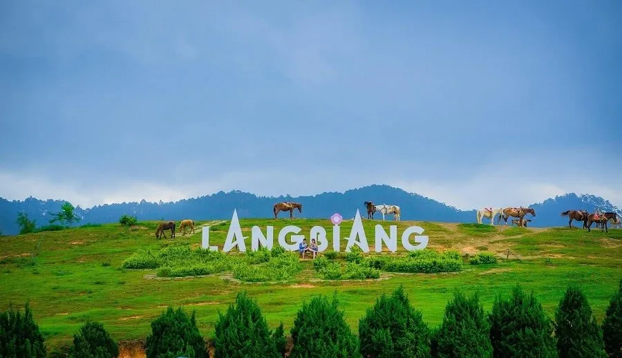 Chữ LANGBIANG trên đồi cỏ xanh, đàn ngựa gặm cỏ phía sau