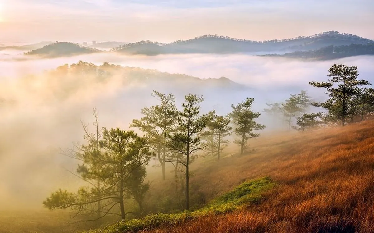 Đồi Đa Phú - địa điểm chill tại Đà Lạt