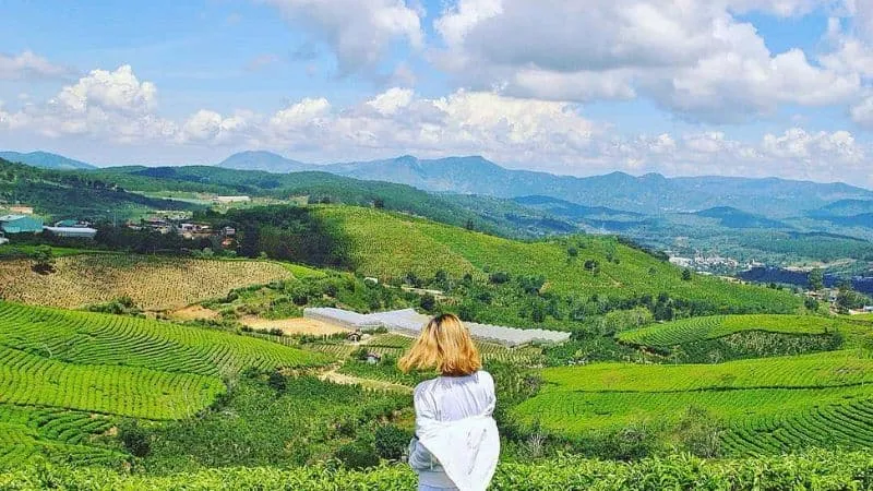 Trải Nghiệm Đà Lạt