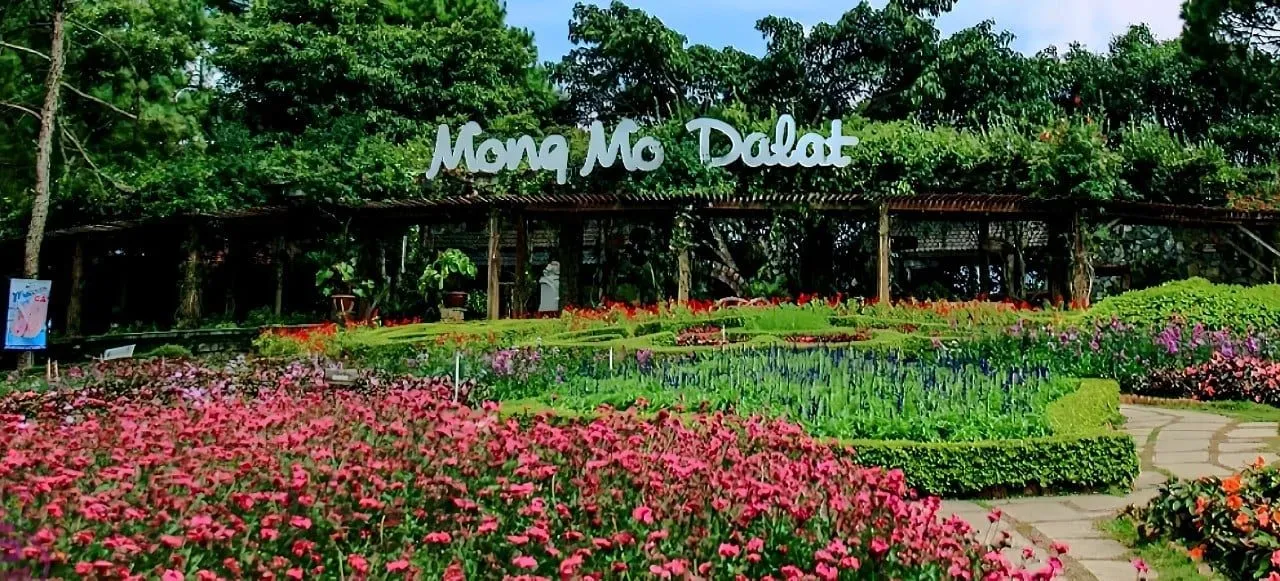 Đồi Mộng Mơ - Thung Lũng Tình Yêu