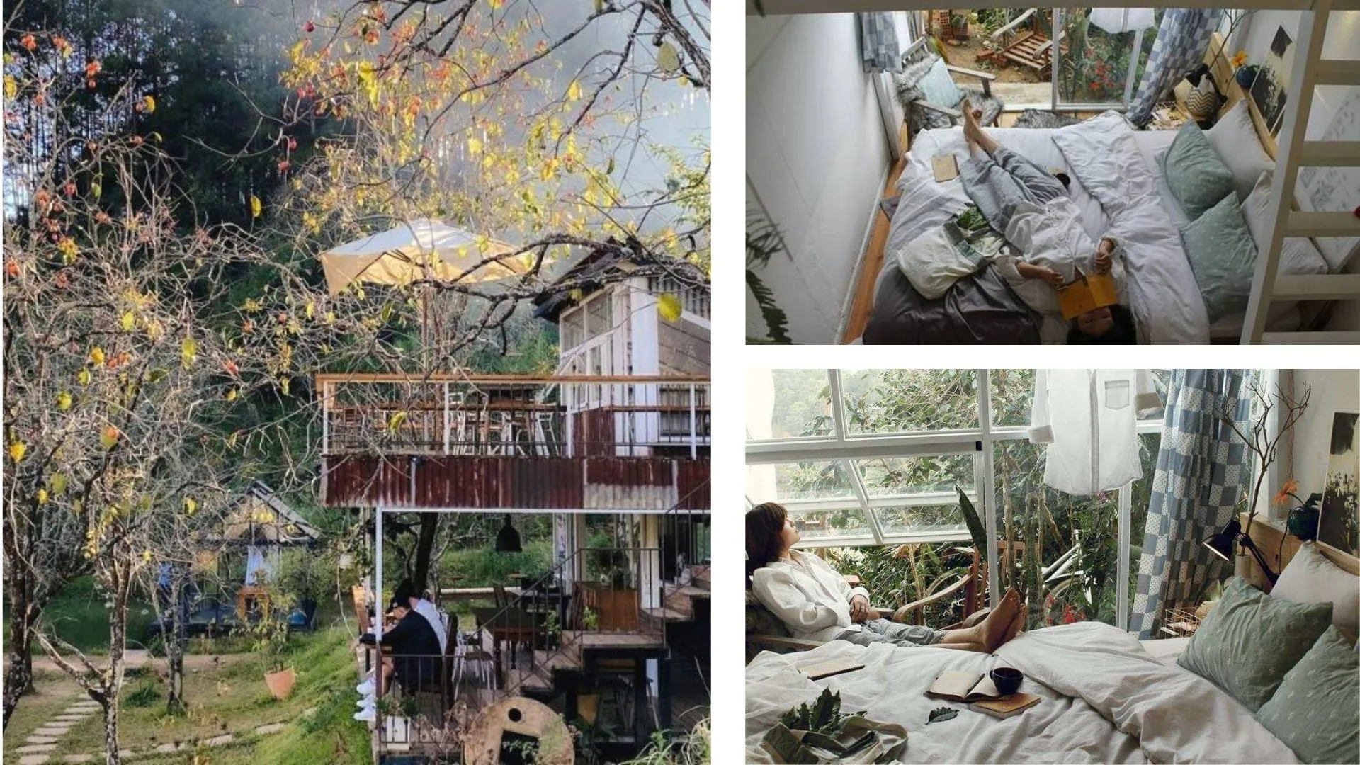 Đợi Một Người Homestay Đà Lạt