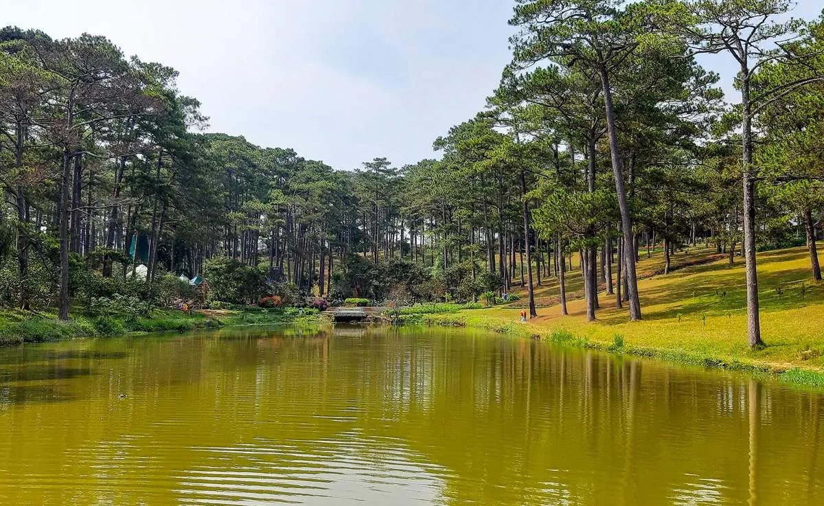 Mặt hồ Than Thở phẳng lặng giữa rừng thông Đà Lạt