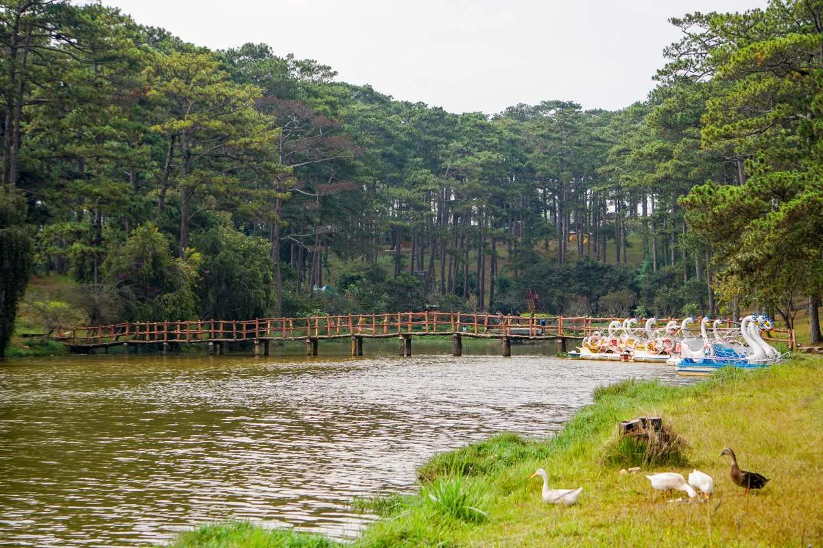 Đạp vịt thư giãn giữa khung cảnh nên thơ ở Hồ Than Thở