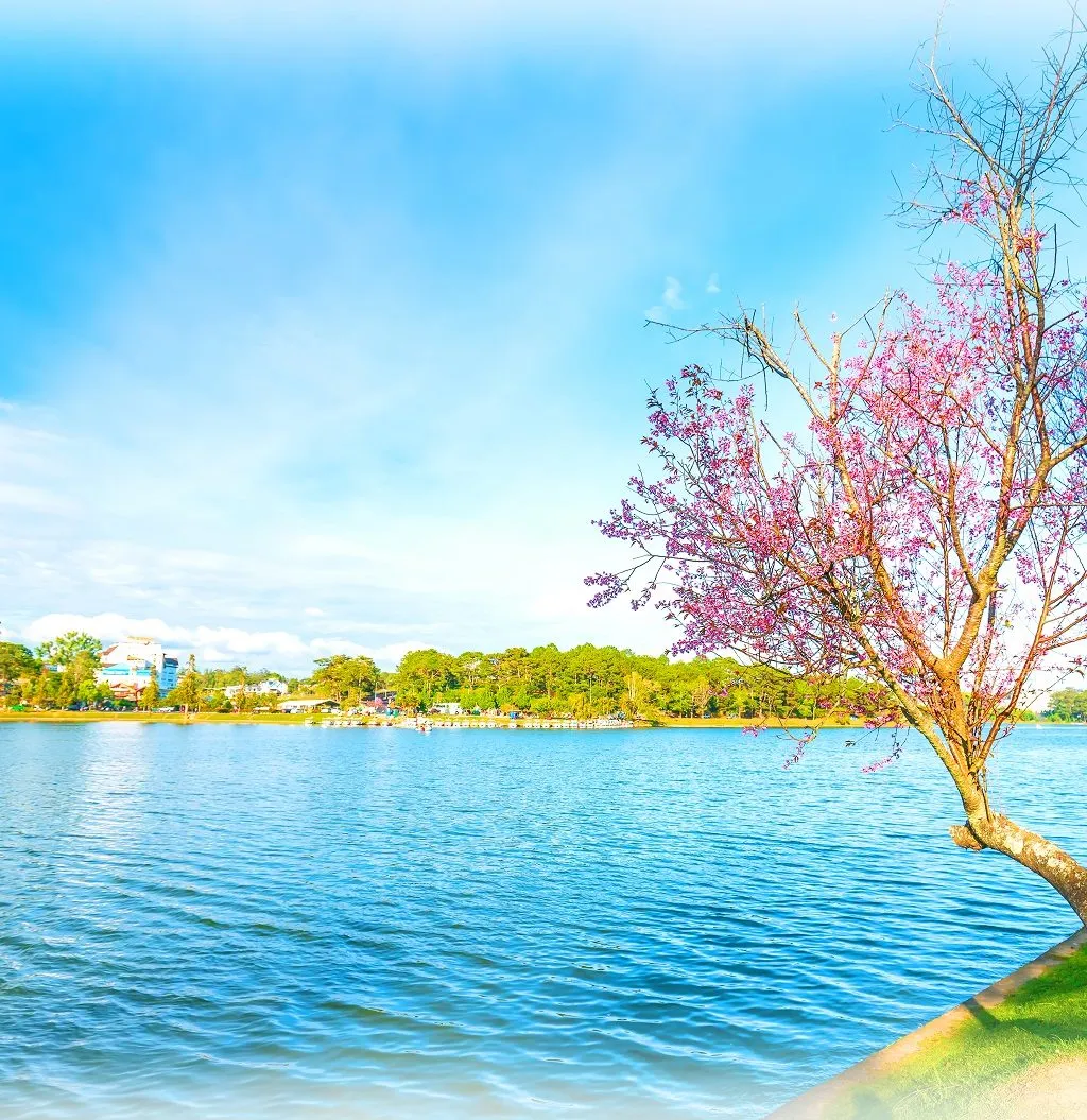 Khám phá Hồ Xuân Hương Đà Lạt kèm review chi tiết 2025