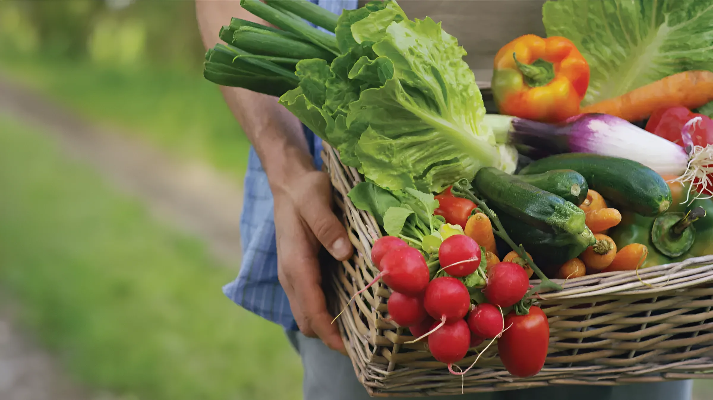 Nông sản chợ đêm Đà Lạt