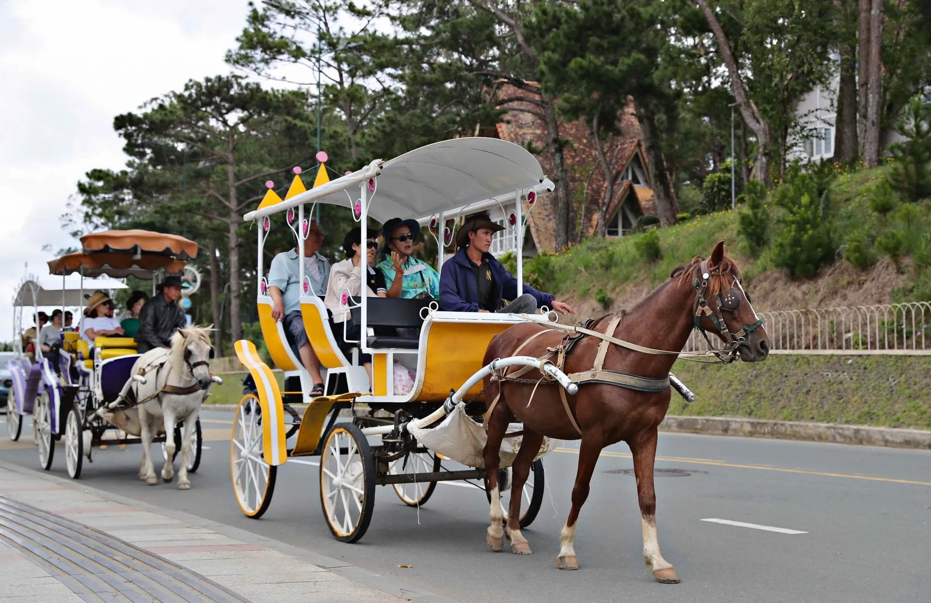 Xe ngựa ở Hồ Xuân Hương